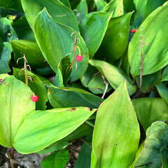 23-09-18 10-19-58 7017